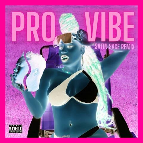 Pro Vibe (Satin Sage Remix)