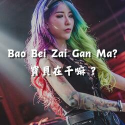 Bao Bei Zai Gan Ma? 宝贝在干嘛