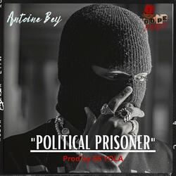 Political Prisoners