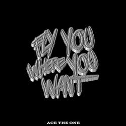 Fly you where you want