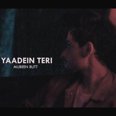 Yaadein Teri