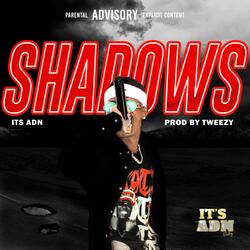 SHADOWS (O.M.W)