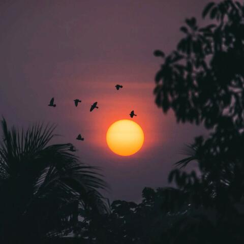 Moments