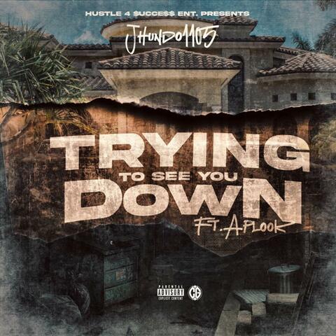 Trying To See You Down (feat. APLOOK)