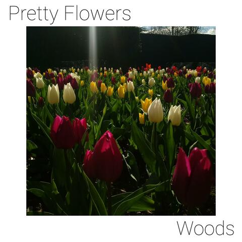 Pretty Flowers