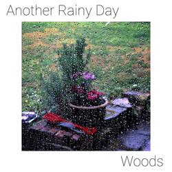 Another Rainy Day