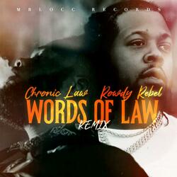 Words Of Law (feat. Rowdy Rebel)