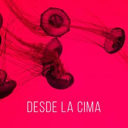 Desde la Cima
