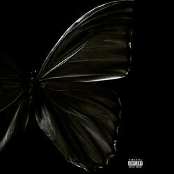 Black Butterfly