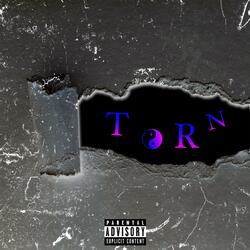 Torn