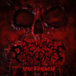 Scar Fragment