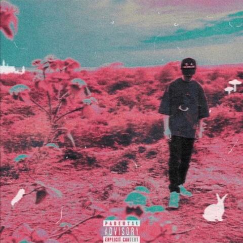 WONDERLAND/PSILOCYBIN