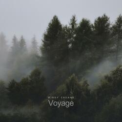 Voyage