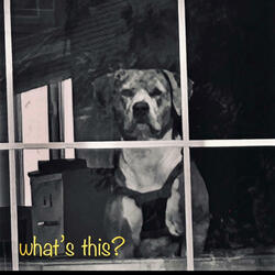 til i can't (different type of gone)