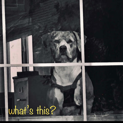 what's this?