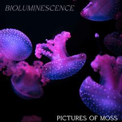 Bioluminescence (2023 Remaster)