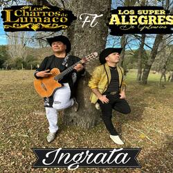 Ingrata (feat. Los Super Alegres de Galvarino)