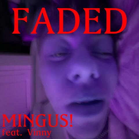 Faded (feat. Vinny)