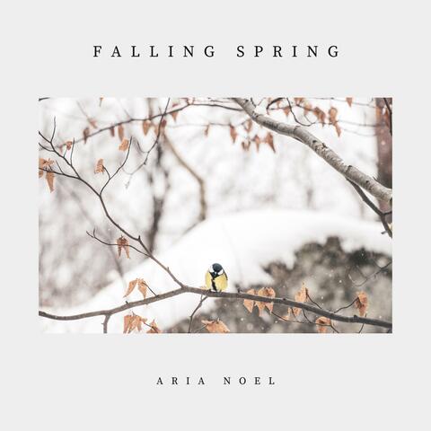 Falling Spring