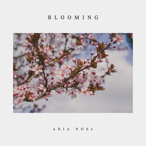 Blooming