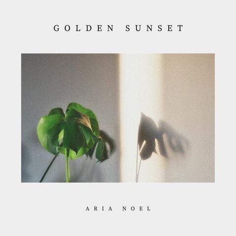 Golden Sunset