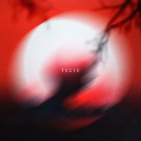 Teste