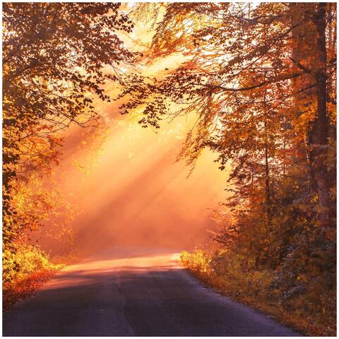 Arrival Of Dawn