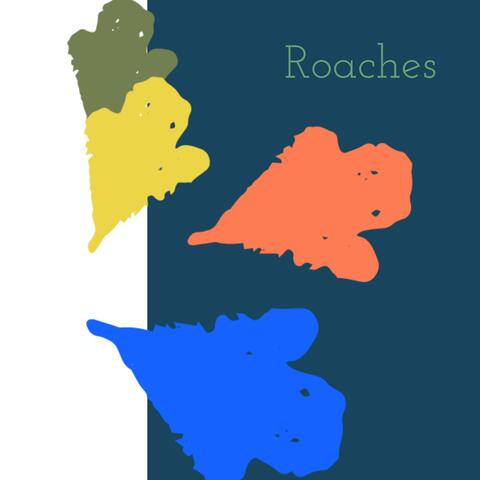 Roaches