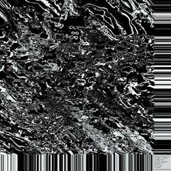 XYLEM