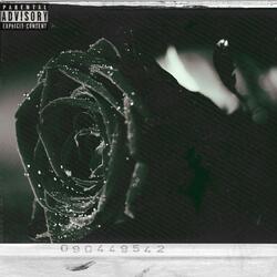 Dead Roses