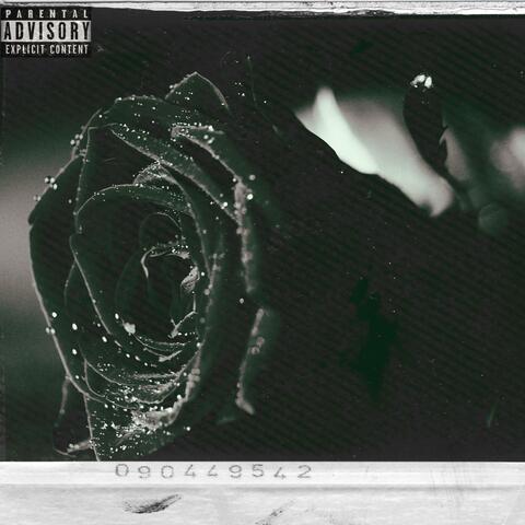 Dead Roses