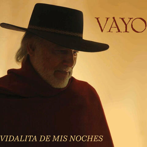 Vidalita de mis Noches