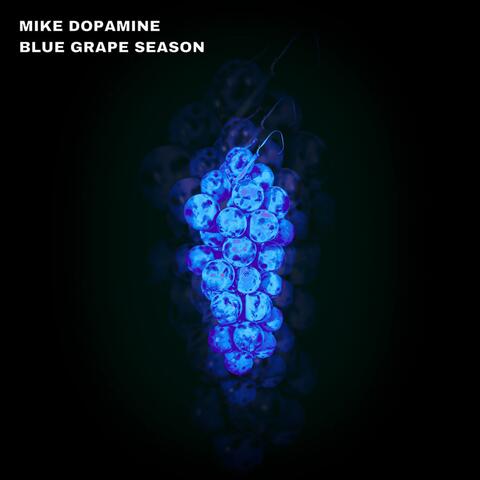 Blue Grape Season