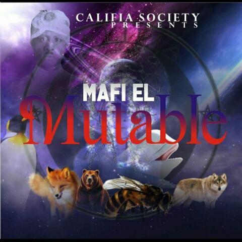 Silence of the Lamb (Mafi El)