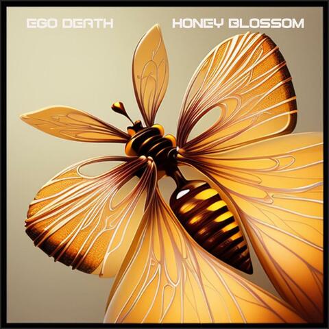 Honey Blossom