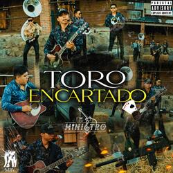 TORO ENCARTADO