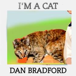 I'M A CAT