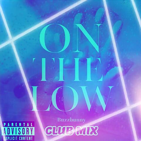 On The Low (feat. Flyy TheProducer) [JERSEY CLUB]