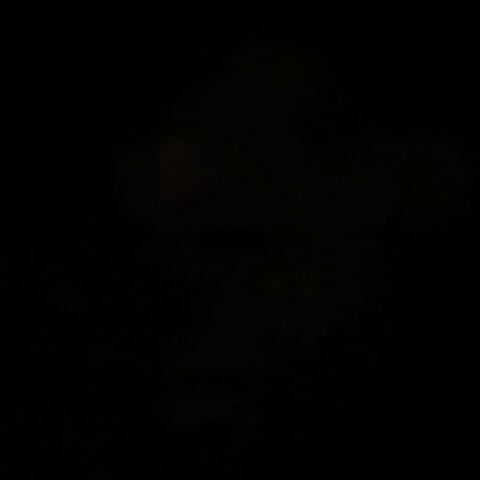 nmnj5xdngj96
