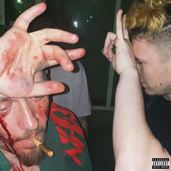 Logan Avariat Pe Malu' Oltului