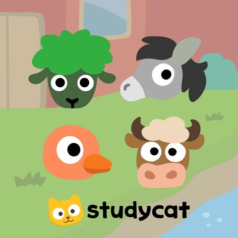 Colourful Animals