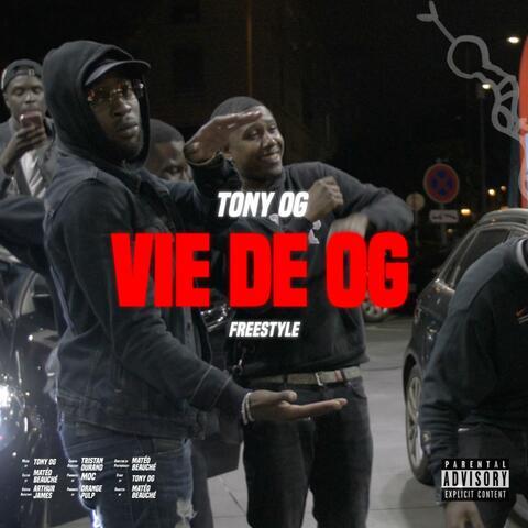 VIE DE OG (Freestyle)