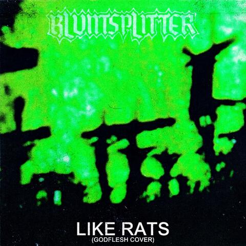Like Rats