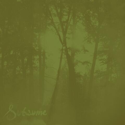 Subsume (2020 Remaster)