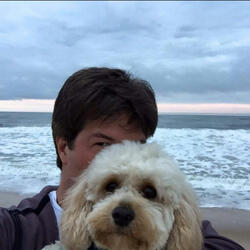 The Dogs Song