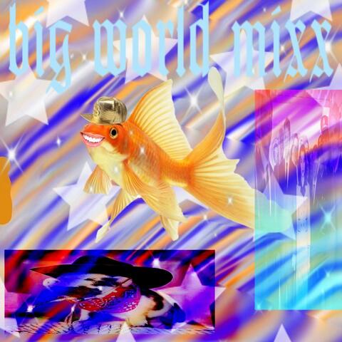 big world mixx