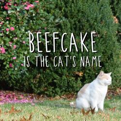 BEEFCAKE