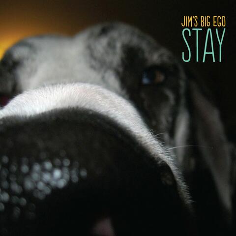 Stay