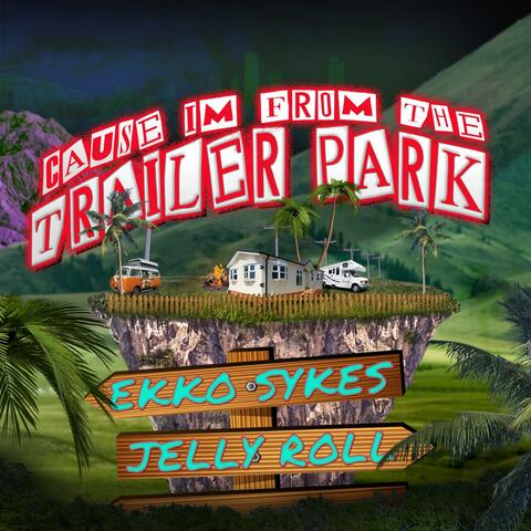 Cause Im From the Trailer Park