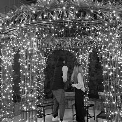 Llovesick (deallocated)